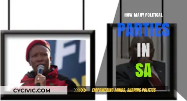 Exploring South Africa's Diverse Political Landscape: Parties and Representation