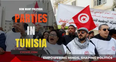 Exploring Tunisia's Diverse Political Landscape: How Many Parties Exist?