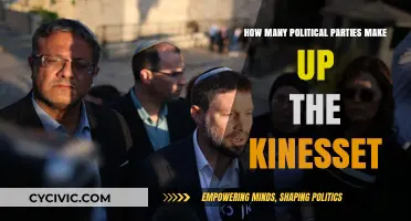 Understanding the Diverse Political Parties in Israel's Knesset