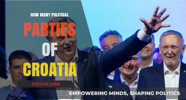Exploring Croatia's Diverse Political Landscape: A Comprehensive Party Guide