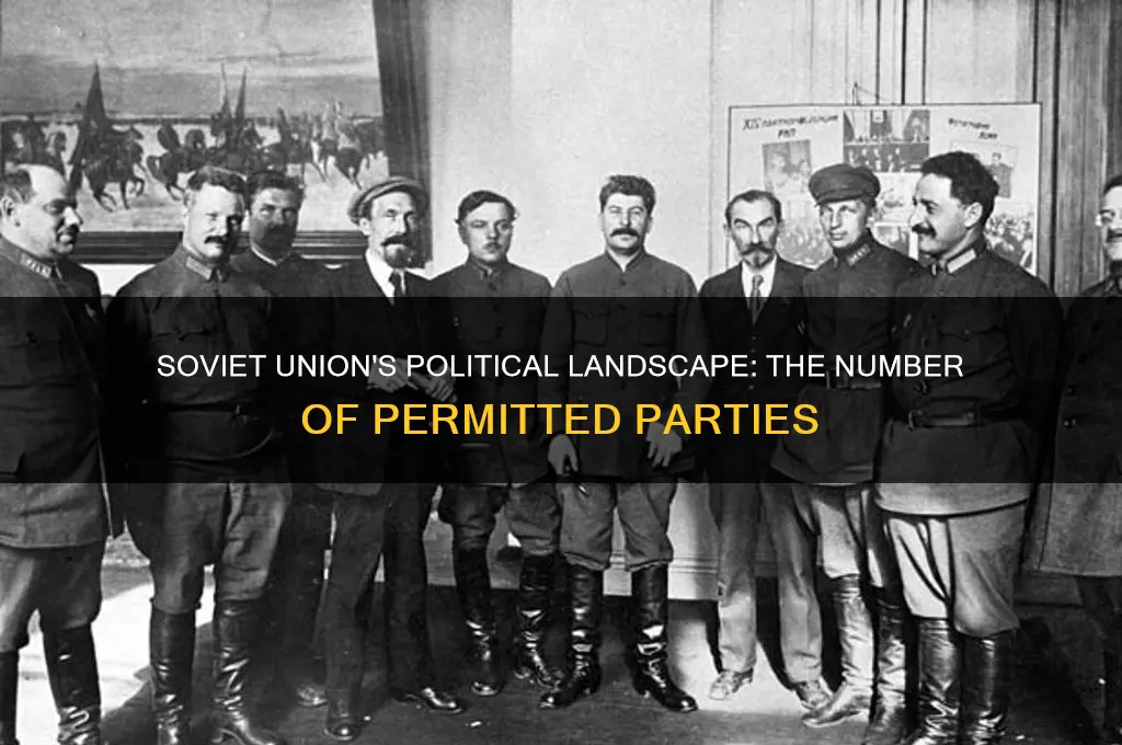 how many political parties were allowed in the soviet union