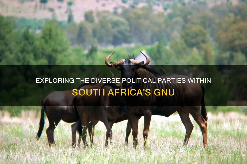 how many political parties were in the gnu