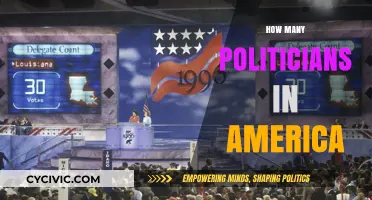 Understanding the Vast Number of Politicians in America Today