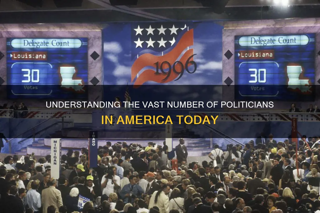 how many politicians in america