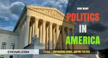 Understanding the Complex Political Landscape in the United States