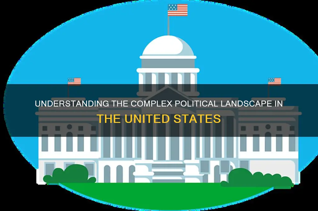 how many politics in america