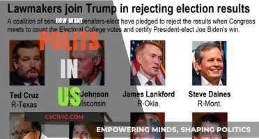 Understanding the Number of Politicians in the United States