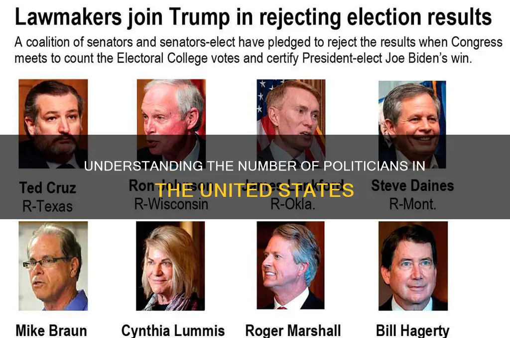 how many polits in us