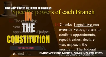 Congressional Powers: What the Constitution Doesn't Allow