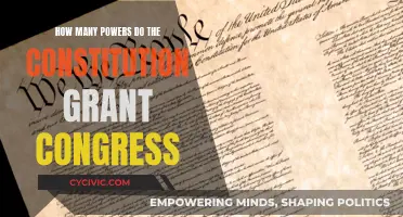 Congress' Powers: Exploring the Extent of Their Authority