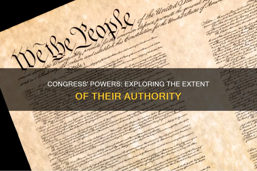how many powers do the constitution grant congress