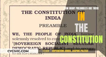 The Constitution's Preambles: A Comprehensive Guide
