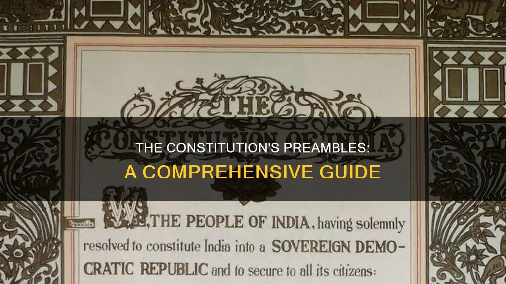 how many preambles are there in the constitution