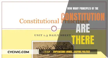 Exploring the Fundamentals: Constitutional Principles Explained