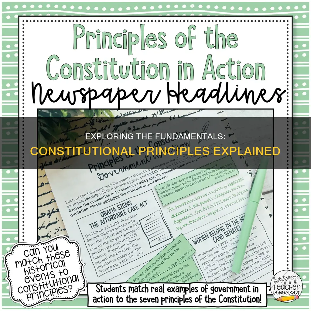 how many principles of the constitution are there