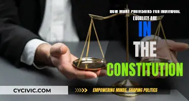 Individual Equality Provisions in the Constitution: How Many?