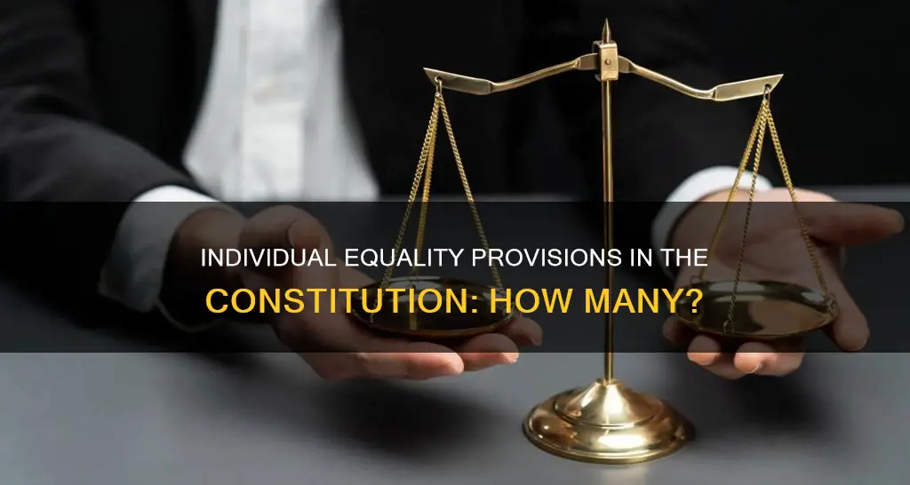 how many provisions for individual equality are in the constitution