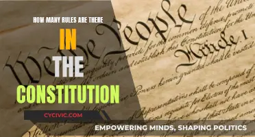 Exploring Constitutional Rules: How Many Exist?