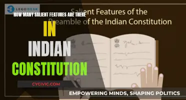 The Indian Constitution: Exploring Its Unique Features