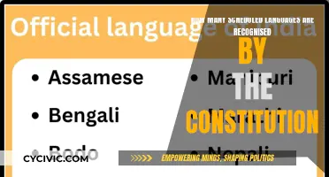 Recognized Languages in the Constitution: How Many?