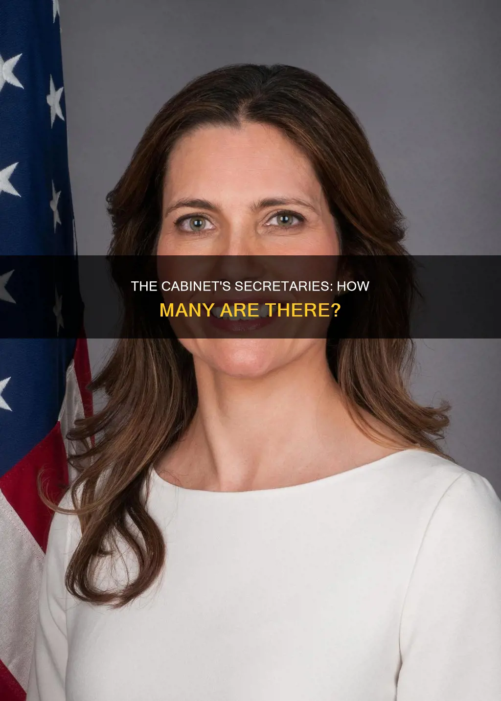 how many secretaries are there in the cabinet