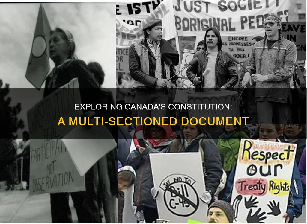 how many sections are in the canadian constitution