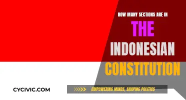 The Indonesian Constitution: How Many Sections?