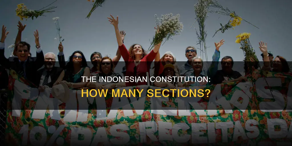 how many sections are in the indonesian constitution