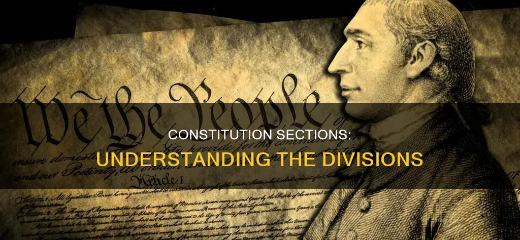 how many sections is the constitution divided into