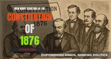 Senators of the 1876 Constitution: A Historical Overview