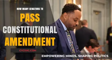 Senators' Power: Passing Constitutional Amendments