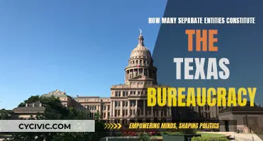 Texas Bureaucracy: A Complex Network of Entities