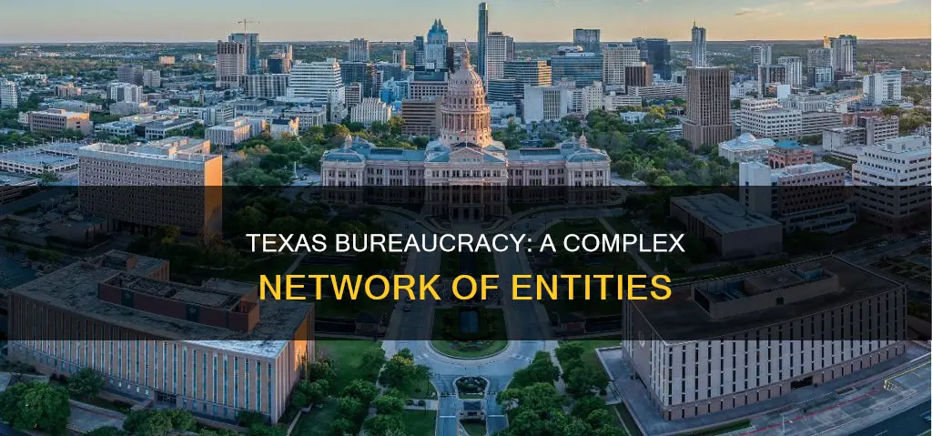 how many separate entities constitute the texas bureaucracy