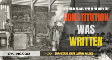 Slavery's Dark Legacy in the US Constitution
