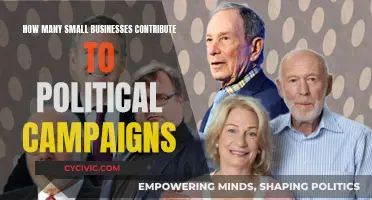 Small Businesses: Political Campaign Contributions and Their Impact