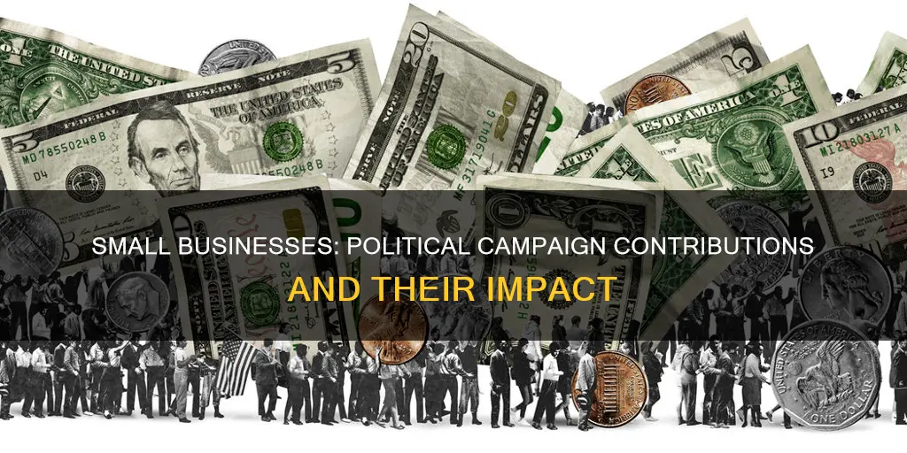 how many small businesses contribute to political campaigns
