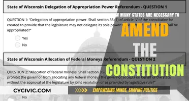 Amending the Constitution: State Influence and Power