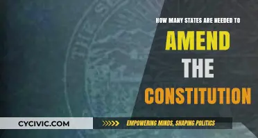 Amending the Constitution: State Influence and Power