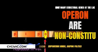 Exploring the Lac Operon's Intricate Gene Expression