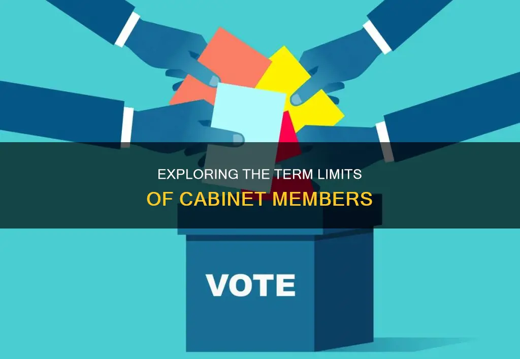 how many terms does the cabinet members srve