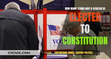 Senators' Term Limits: Constitutional Constraints
