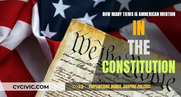 American Mentions in the Constitution: How Many Times?