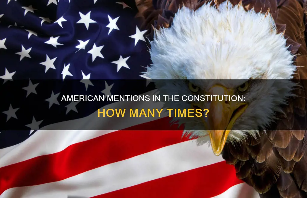 how many tiems is amnerican mention in the constitution