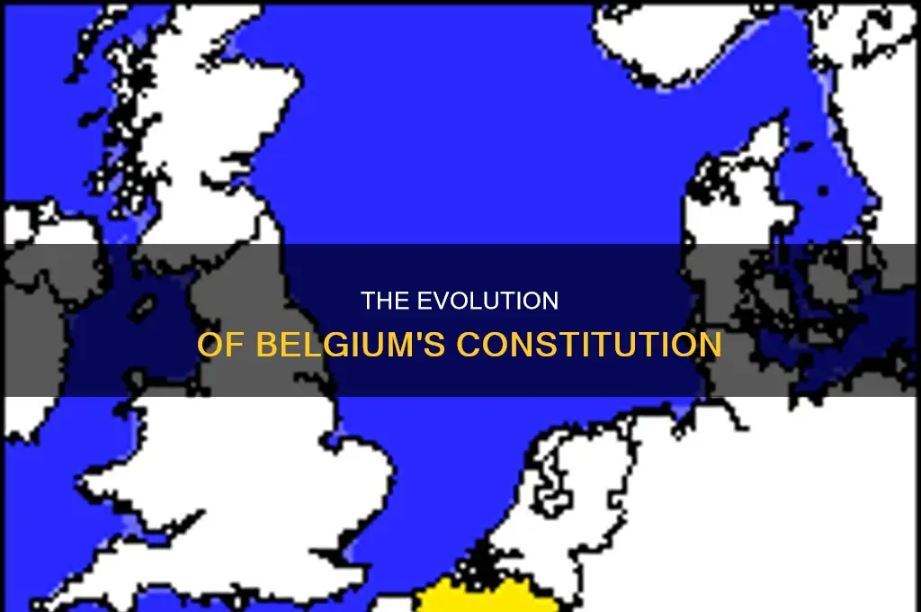 how many times belgian constitution amended