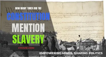Slavery's Dark Legacy in the Constitution