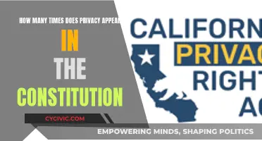 The Constitution's Privacy Mentions: A Surprising Count