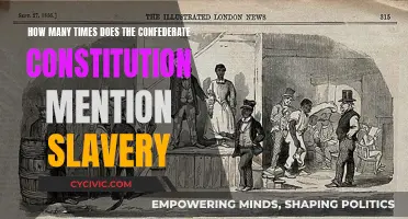 Slavery's Mention in the Confederate Constitution