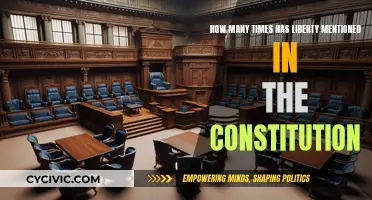 The Constitution's Liberty Mentions: A Founding Principle