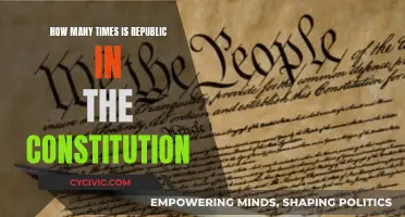 The Constitution's Frequent Use of the Word "Republic