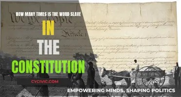 The Constitution's Slave Word Count: A Historical Overview